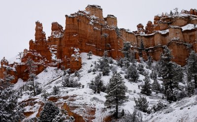 Winter 2005 - Bryce Canyon and Lake Powell