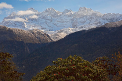 SikkimPhedang-0025.jpg