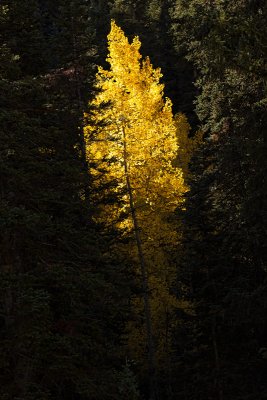 Colorado-Fall-0164.jpg