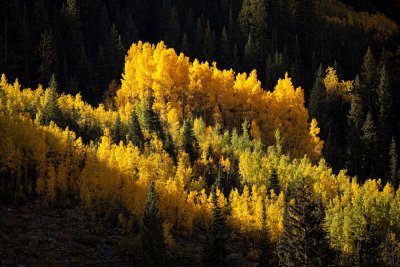 Colorado-Fall-0183.jpg