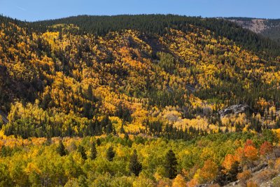 Colorado-Fall-0377.jpg