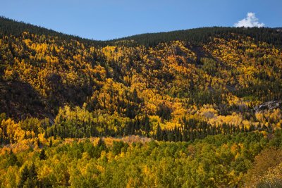 Colorado-Fall-0387.jpg