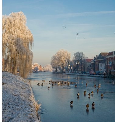 Delft-Winter7768SM.jpg