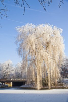 Delft-Winter7809SM.jpg
