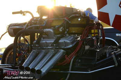 T31.jpg