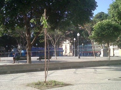Cpia de IMG00115-20110828-1605.jpg
