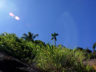 Morro do Leme