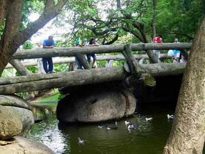 Muita gua passando por debaixo da ponte