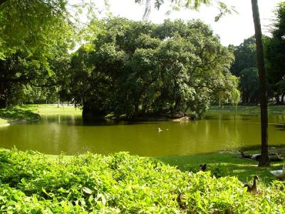 Lago