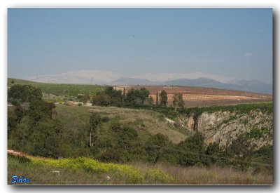 IMG_0993.jpg