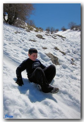 IMG_1025.jpg
