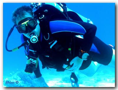 Red sea - Eilat       (June_ 2006)