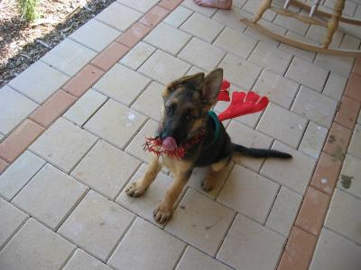 Aus2004142_4298.JPG