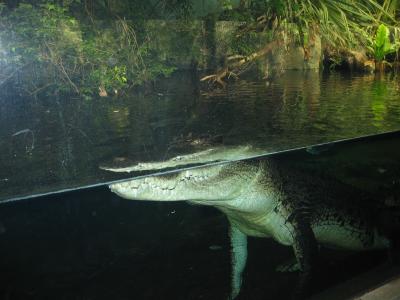 Aus2004143_4312.JPG