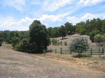 Aus2004143_4348.JPG