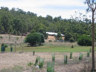 Aus2004143_4354.JPG