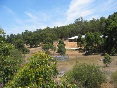 Aus2004143_4358.JPG