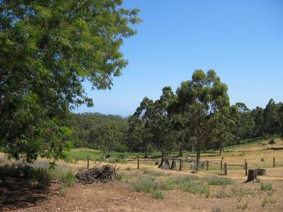Aus2004143_4388.JPG