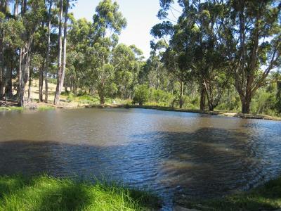 Aus2004143_4391.JPG