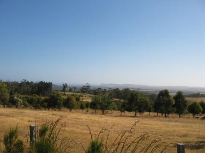 Aus2004144_4407.JPG