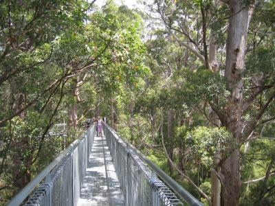 Aus2004144_4412.JPG