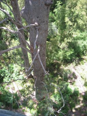 Aus2004144_4414.JPG