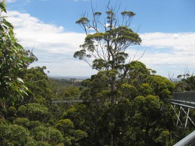 Aus2004144_4416.JPG