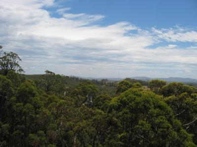 Aus2004144_4420.JPG