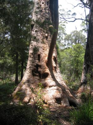 Aus2004144_4425.JPG