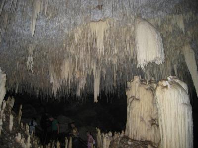 Aus2004145_4517.JPG