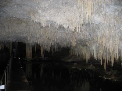 Aus2004145_4525.JPG