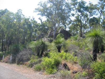 Aus2004145_4537.JPG