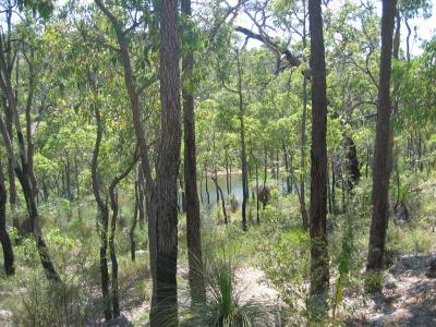 Aus2004145_4543.JPG