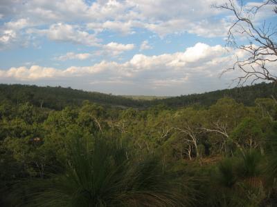 Aus2004145_4556.JPG