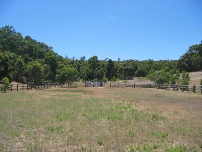Aus2004145_4561.JPG