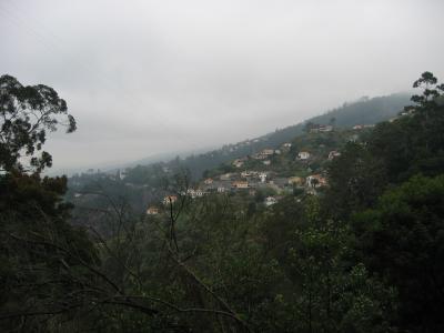 Madeira 002.jpg
