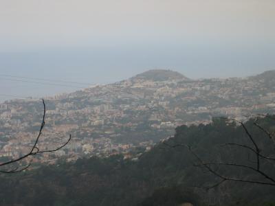 Madeira 005.jpg