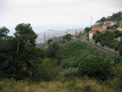 Madeira 006.jpg