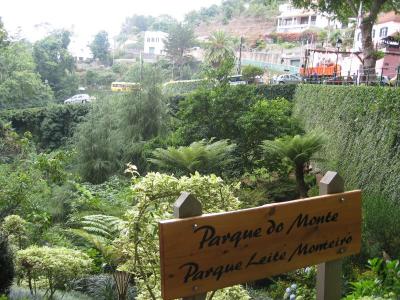 Madeira 018.jpg