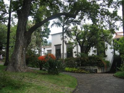 Madeira 040.jpg