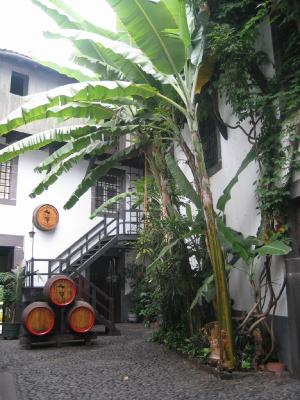 Madeira 043.jpg