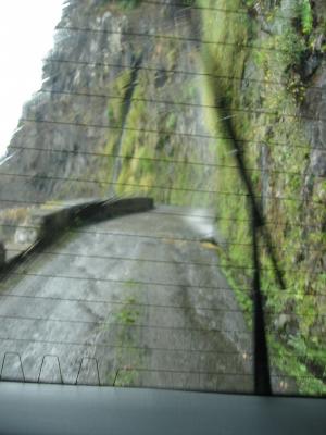 Madeira 123.jpg