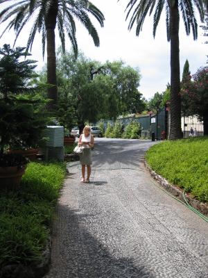 Madeira 206.jpg