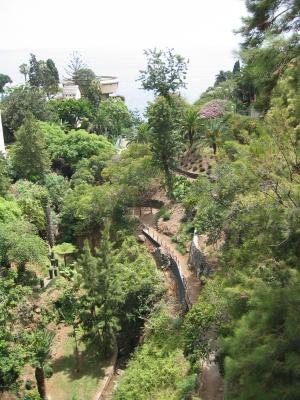 Madeira 208.jpg
