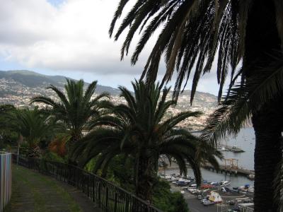 Madeira 221.jpg