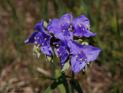 g4/77/379477/3/61830946.jrG4pB44.jpg