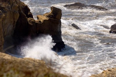 Along The Oregon Coast