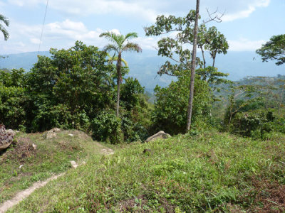 Helmeted Curassow Reserve / RNA Pauxi Pauxi