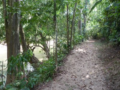 Riverside Trail at Blue-billed Curassow Reserve / RNA El Paujil