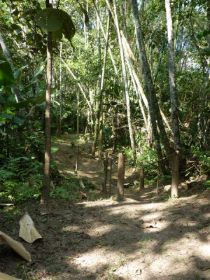 Riverside Trail at Blue-billed Curassow Reserve / RNA El Paujil